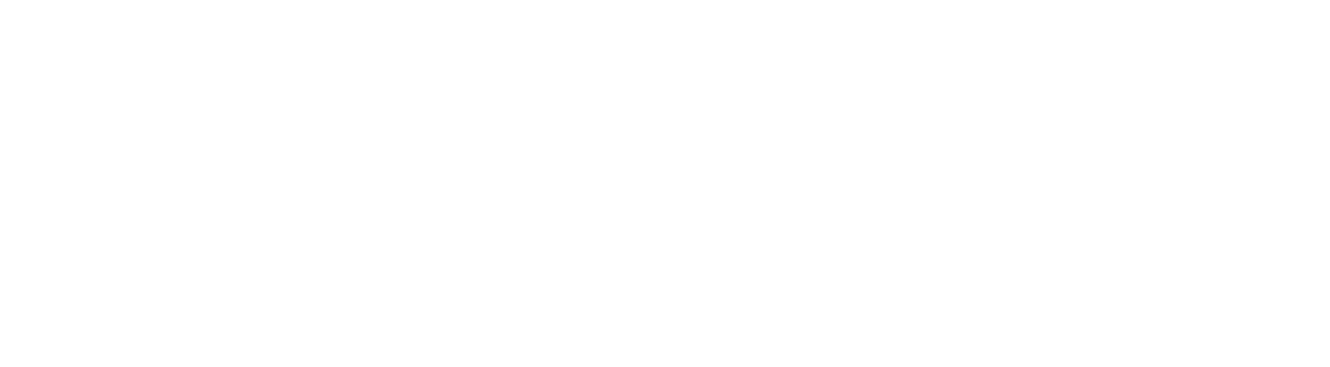 39 LS Model Designator - White